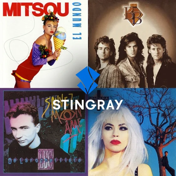 Les années 1980 et 1990