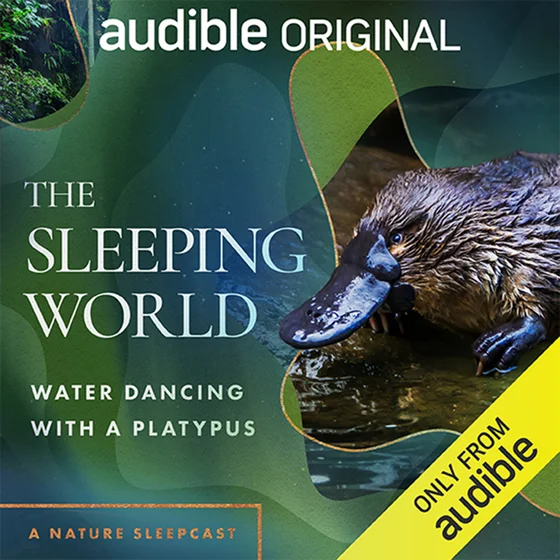 The Sleeping World: Water Dancing with a Platypus
