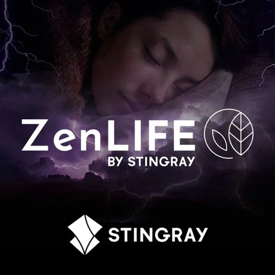 ZenLIFE : Piano en forêt