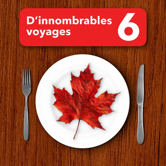 D’innombrables voyages