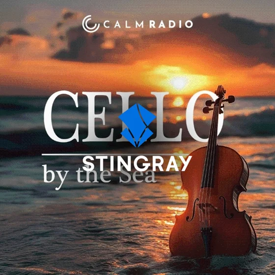 ZenLIFE : violoncelle balnéaire