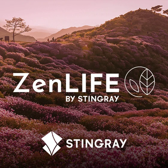 ZenLIFE: Field of Dreams