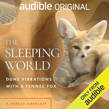 The Sleeping World: Dune Vibrations with a Fennec Fox