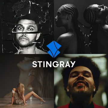 For The Weeknd Fans