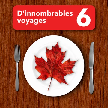 D’innombrables voyages