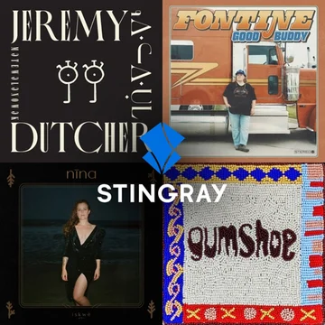 Indigenous Pop