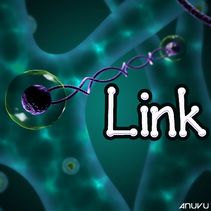 Link
