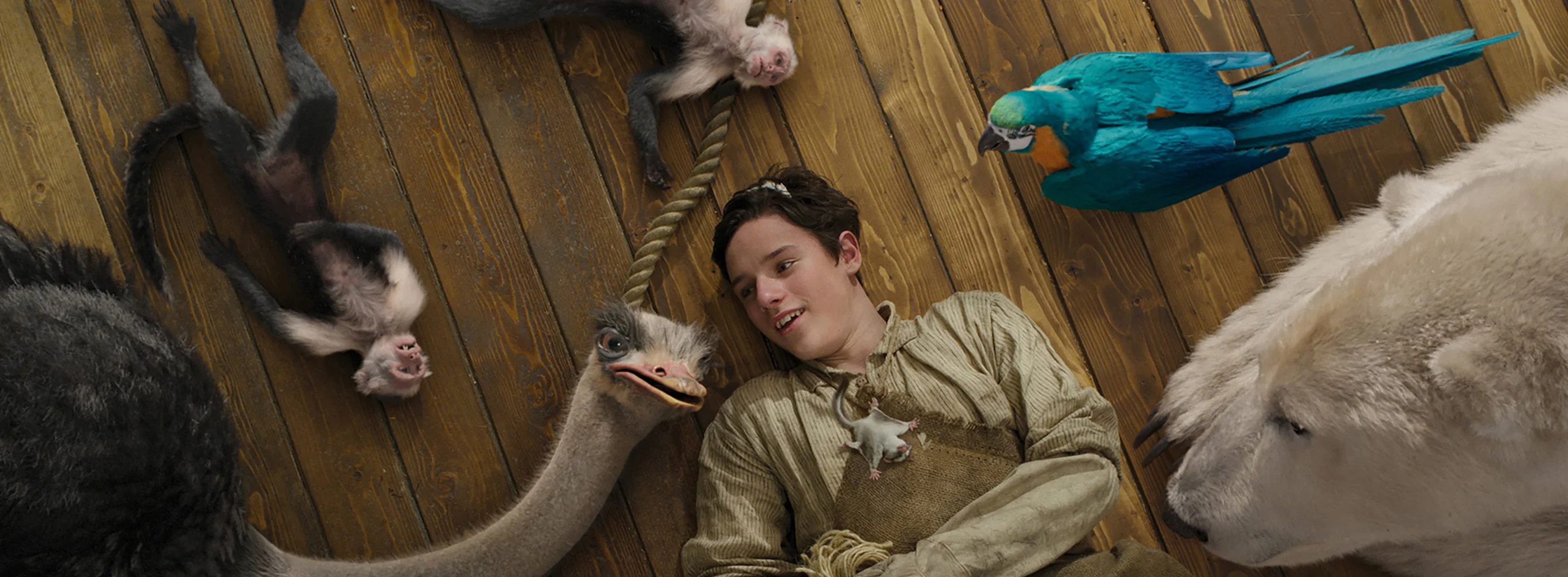 Dolittle