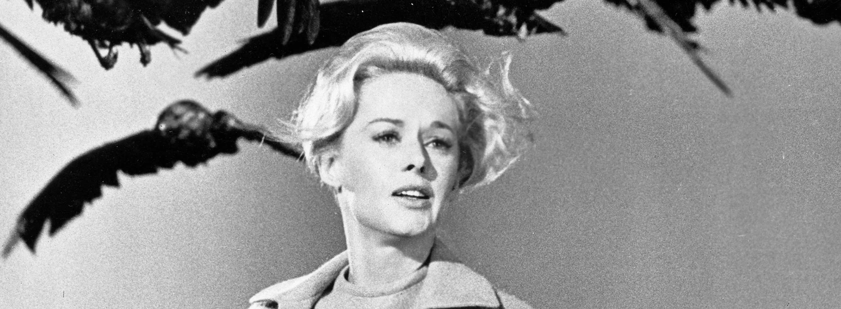 The Birds (1963)