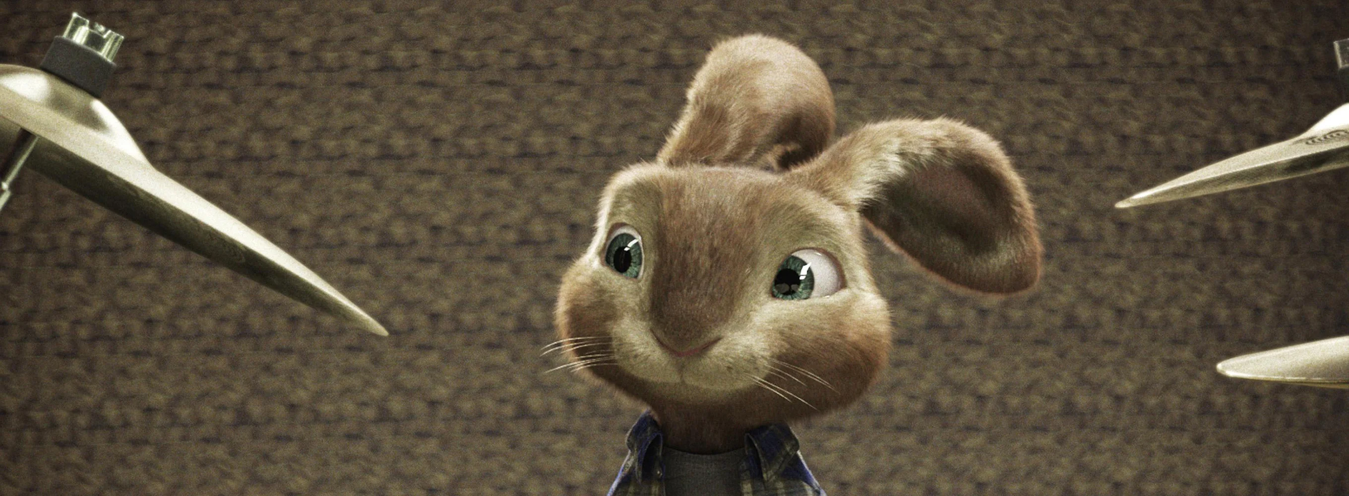 Hop