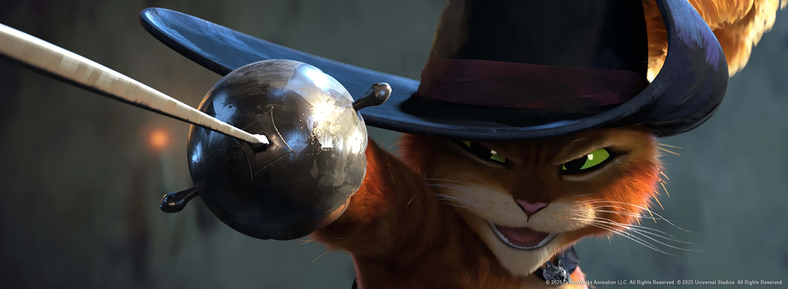 Le chat potté : Le dernier voeu