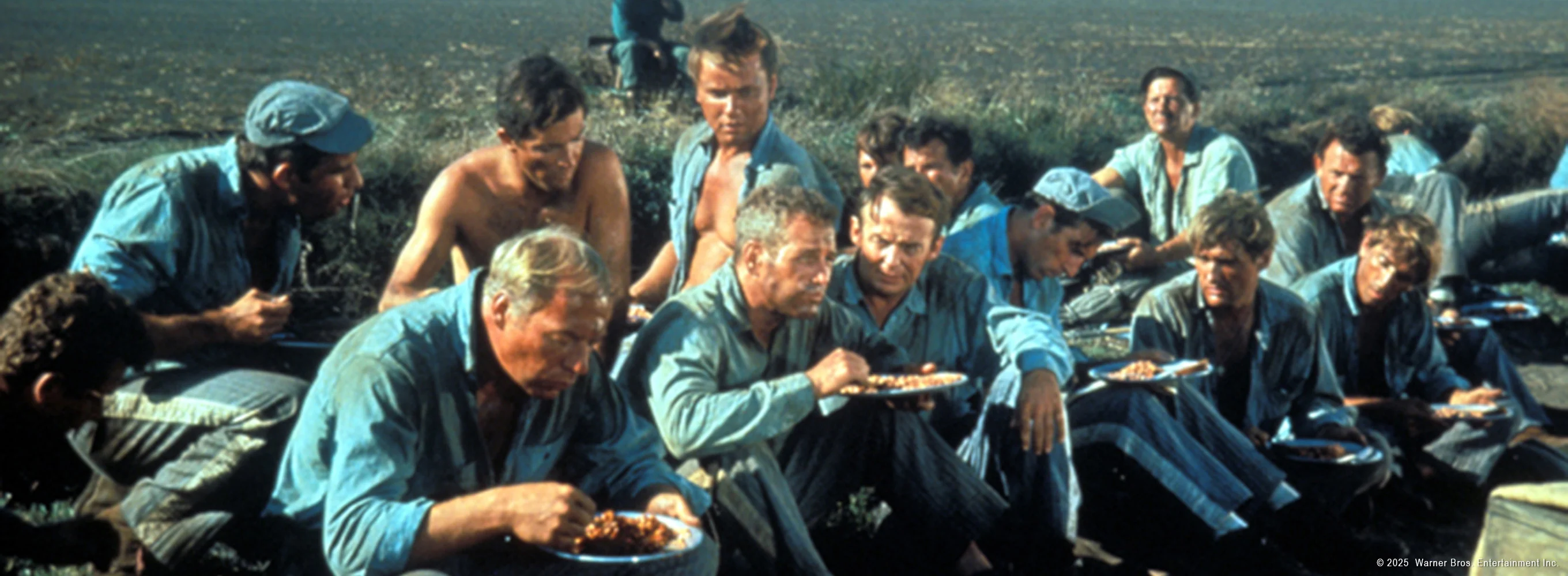 Cool Hand Luke