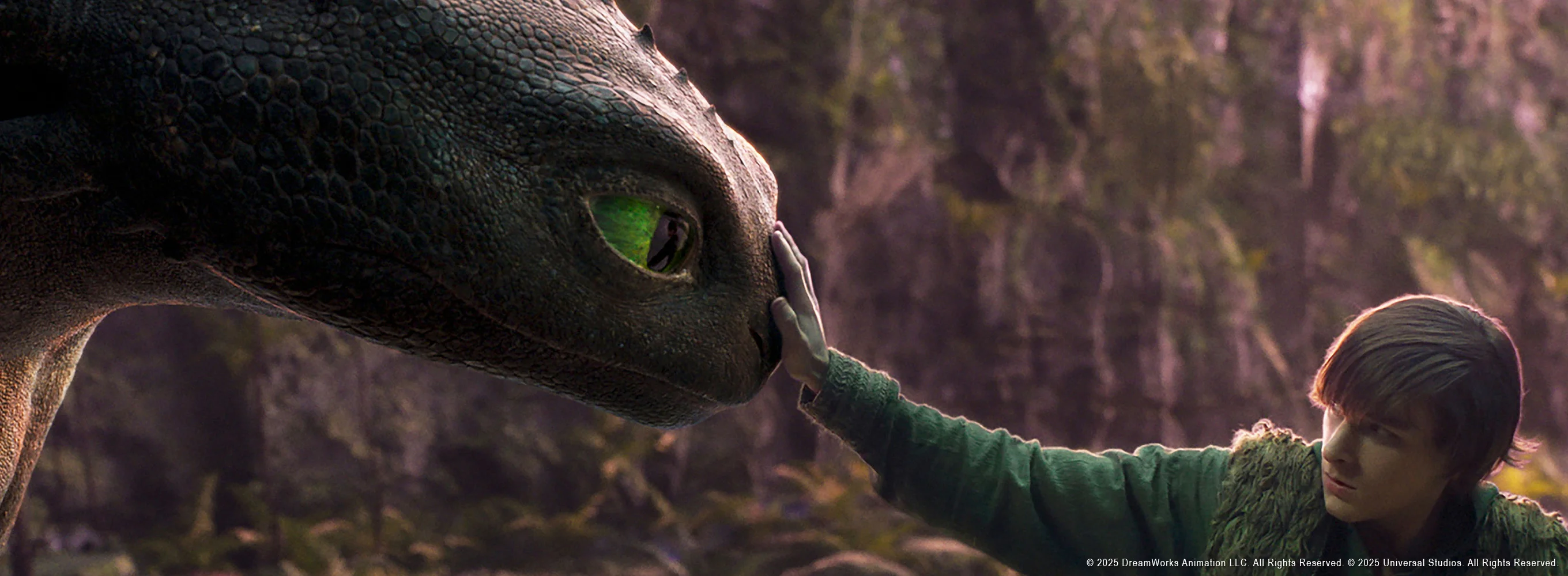 Dragons