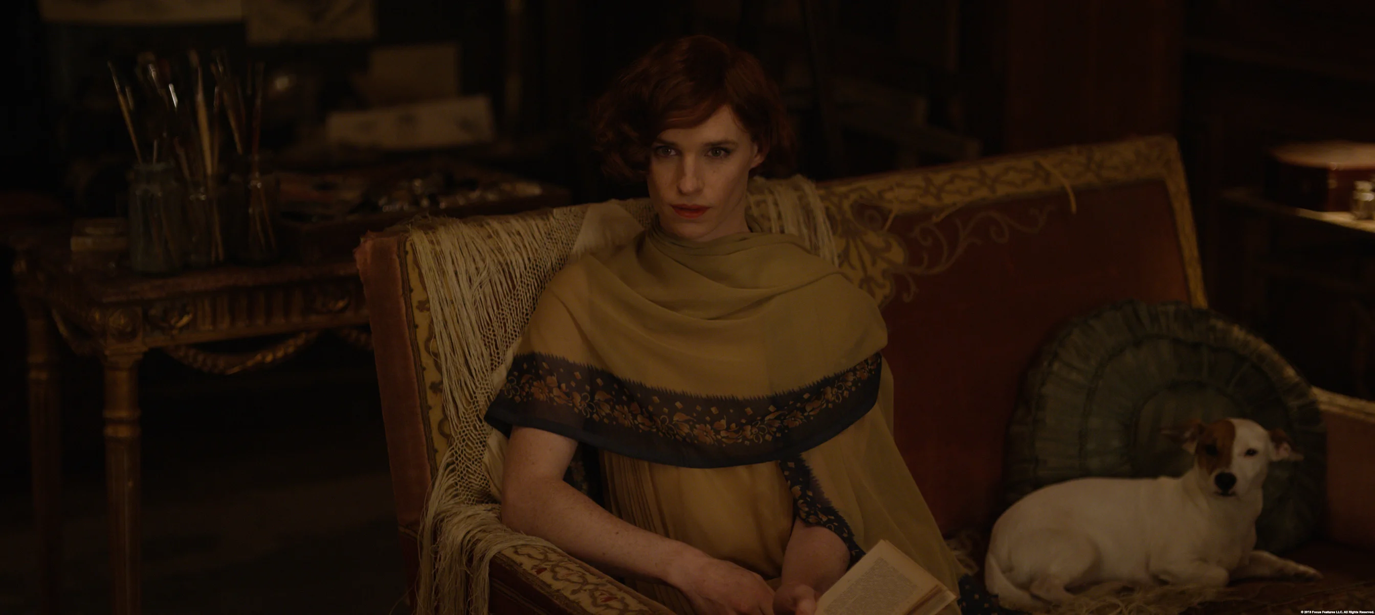 The Danish Girl