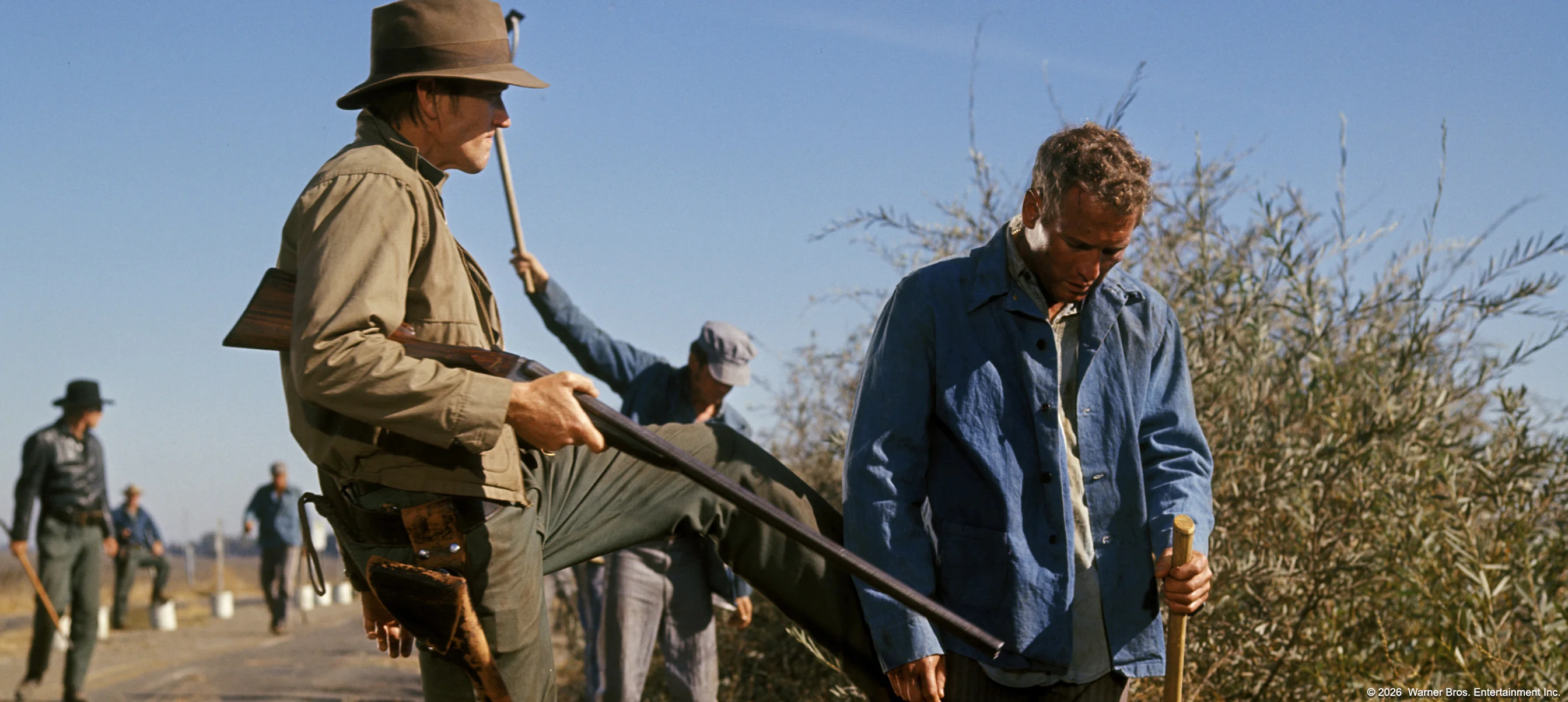 Cool Hand Luke