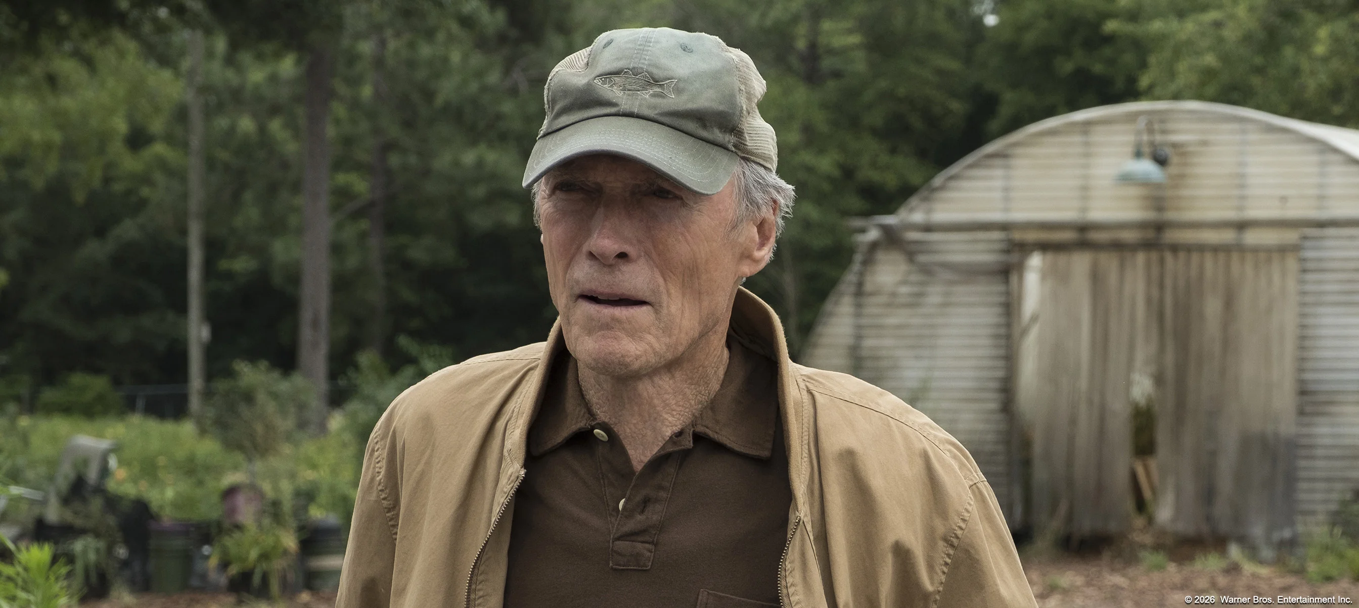 The Mule