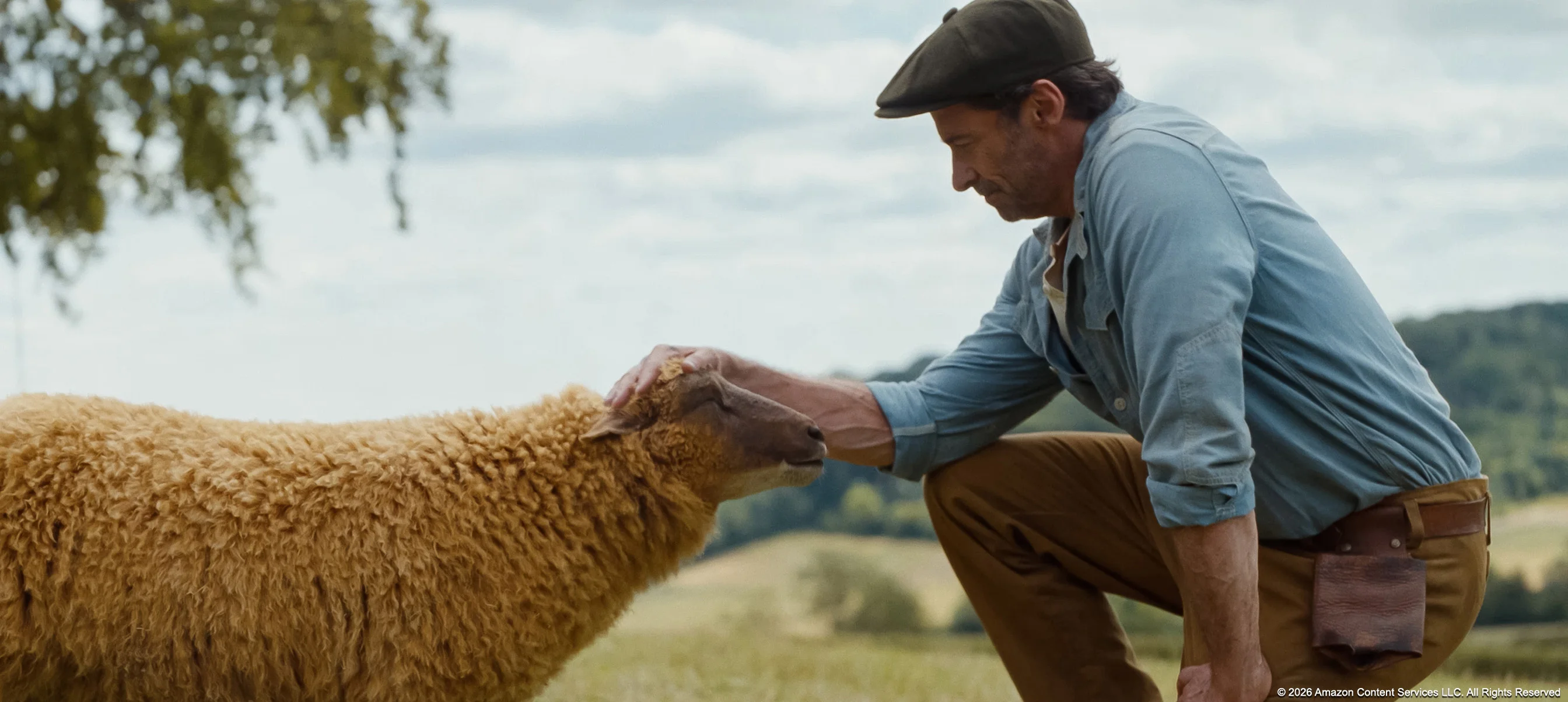 The Sheep Detectives