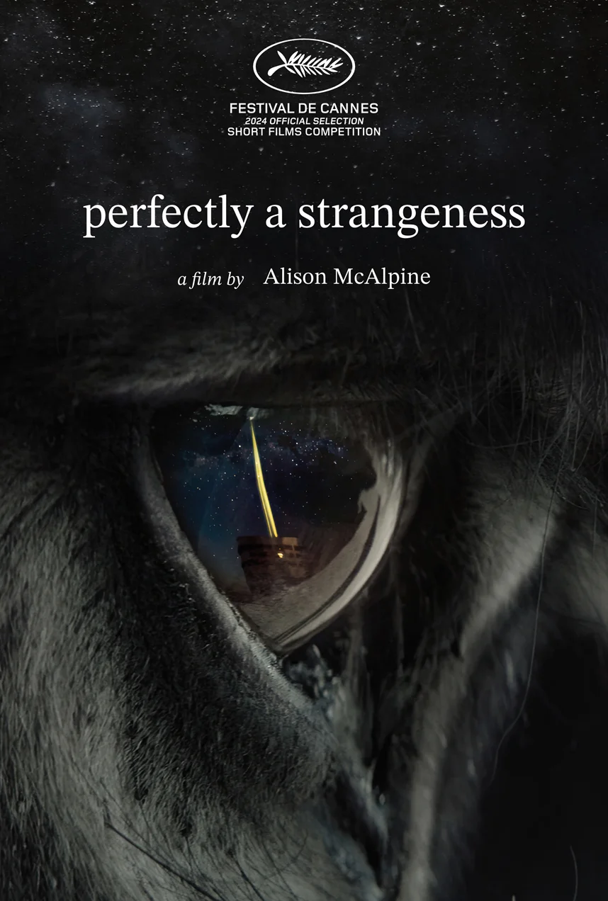 Perfectly a Strangeness