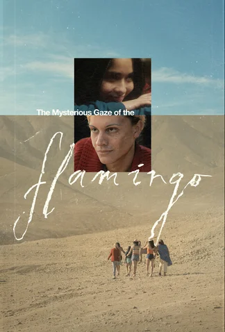 The Mysterious Gaze of the Flamingo