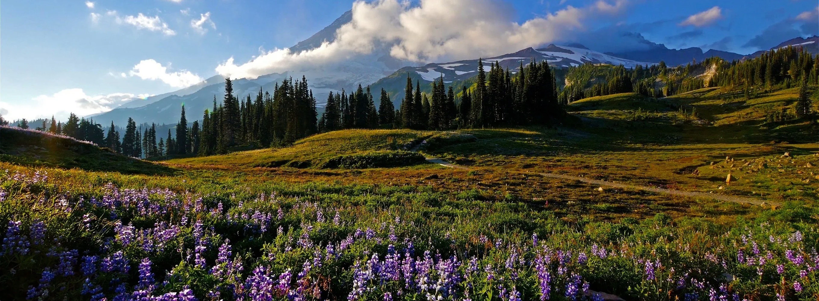 A Day in Mount Rainier 1