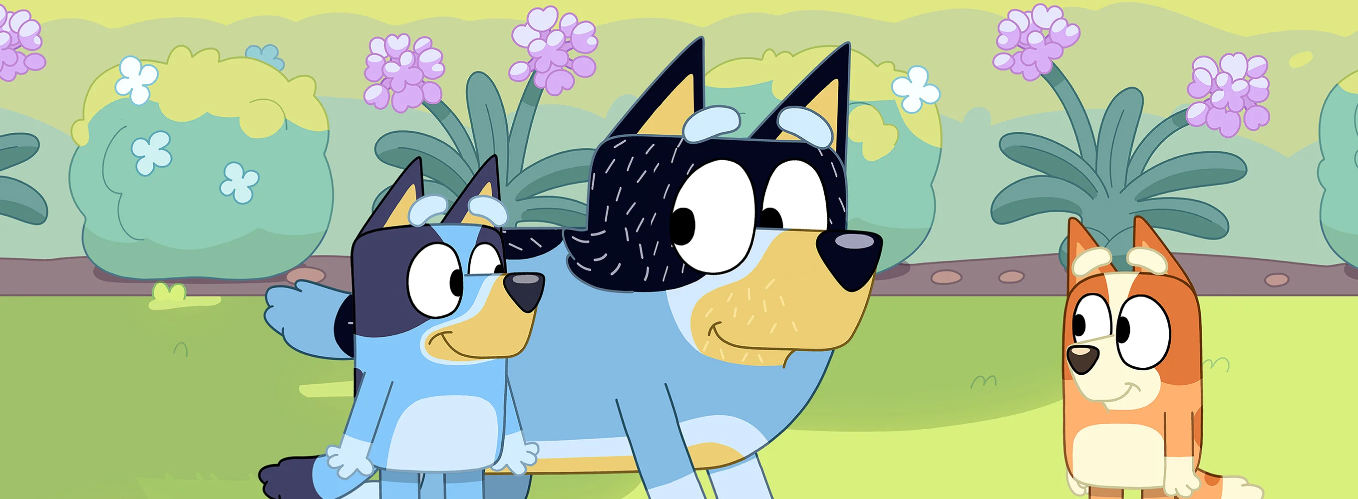 Bluey