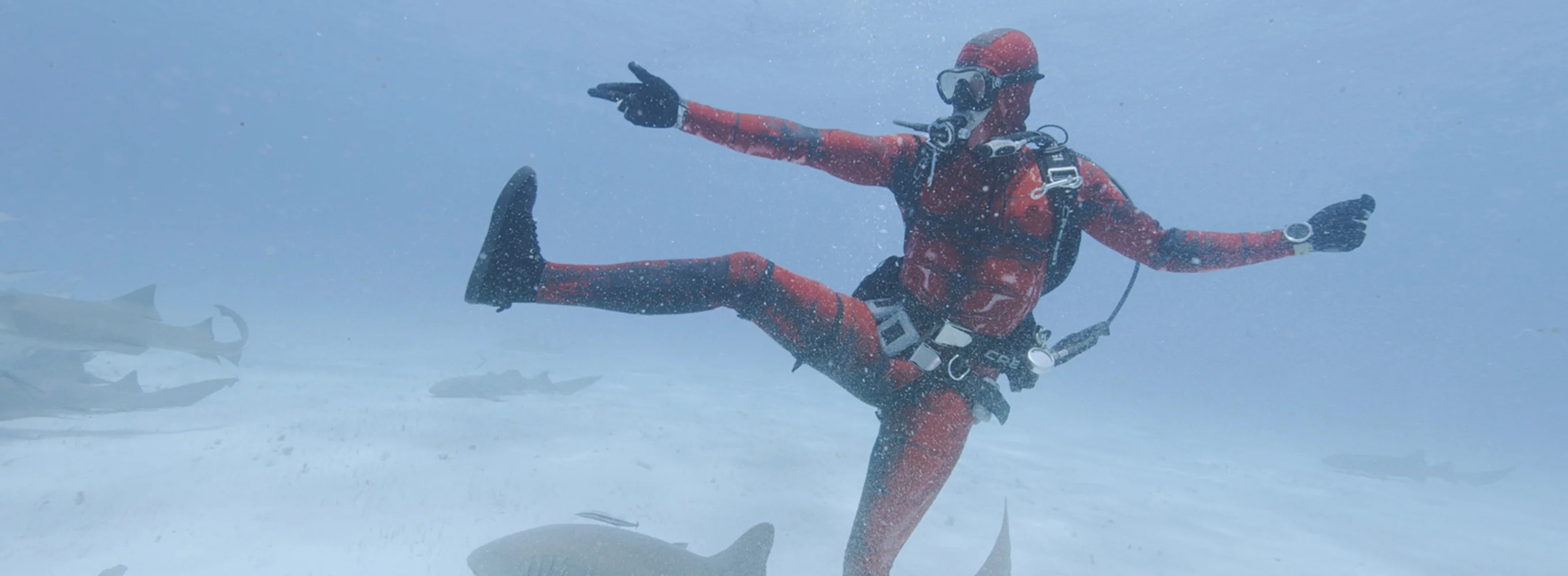 Dancing With Sharks