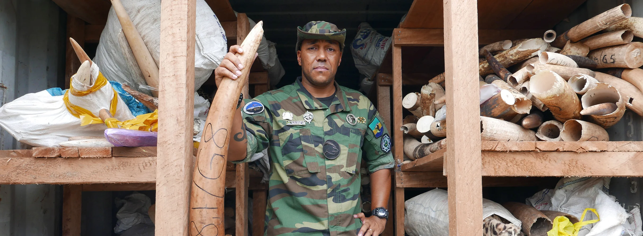 Gabon: Earth's Last Chance