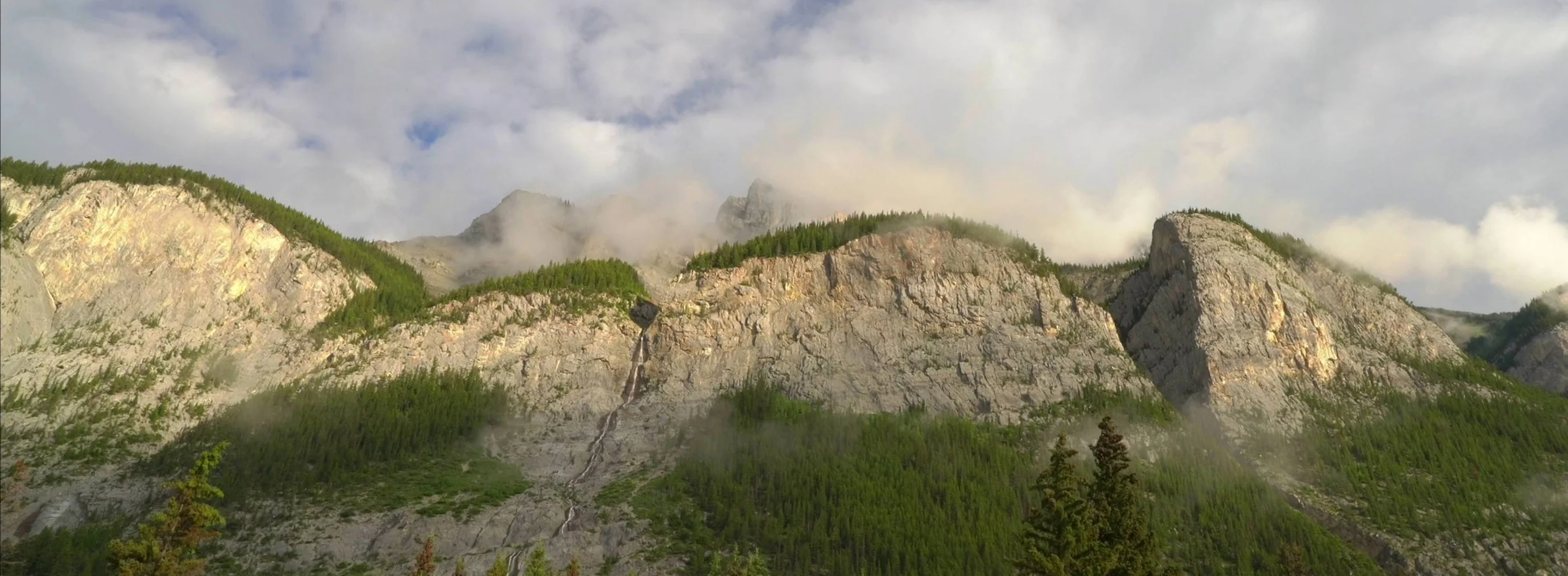 Mountain Forest Vista