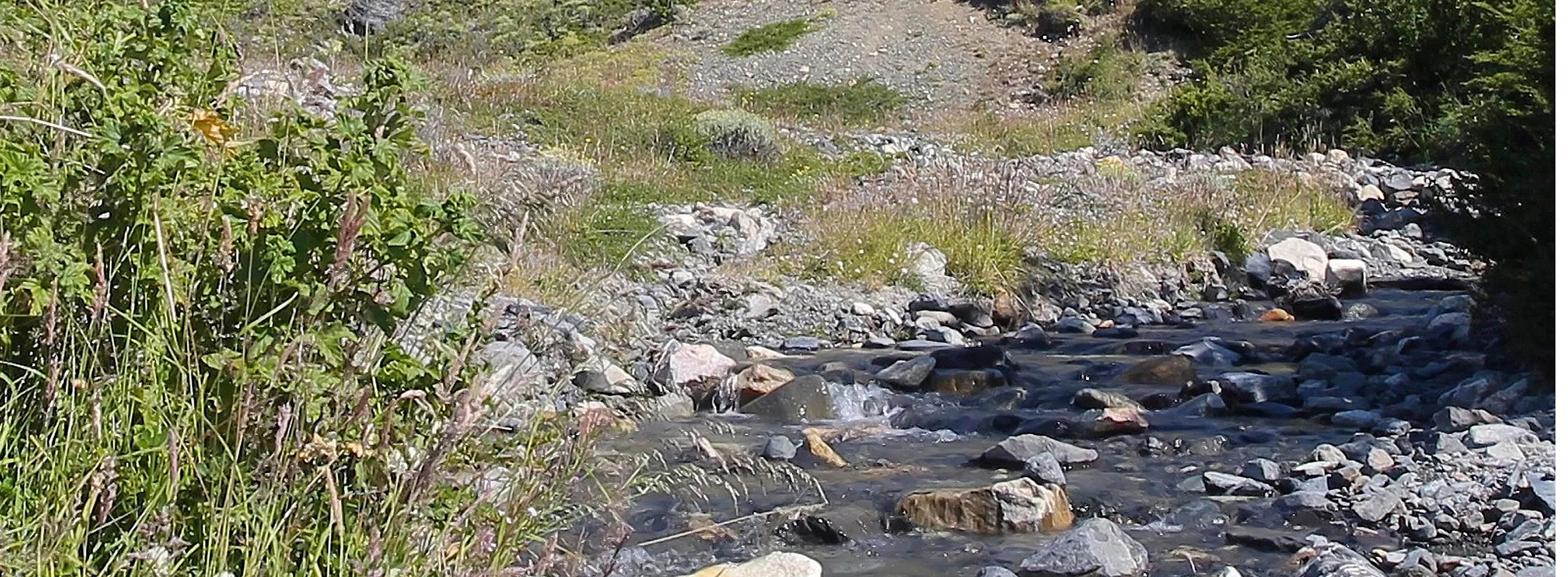 Ruisseau de montagne