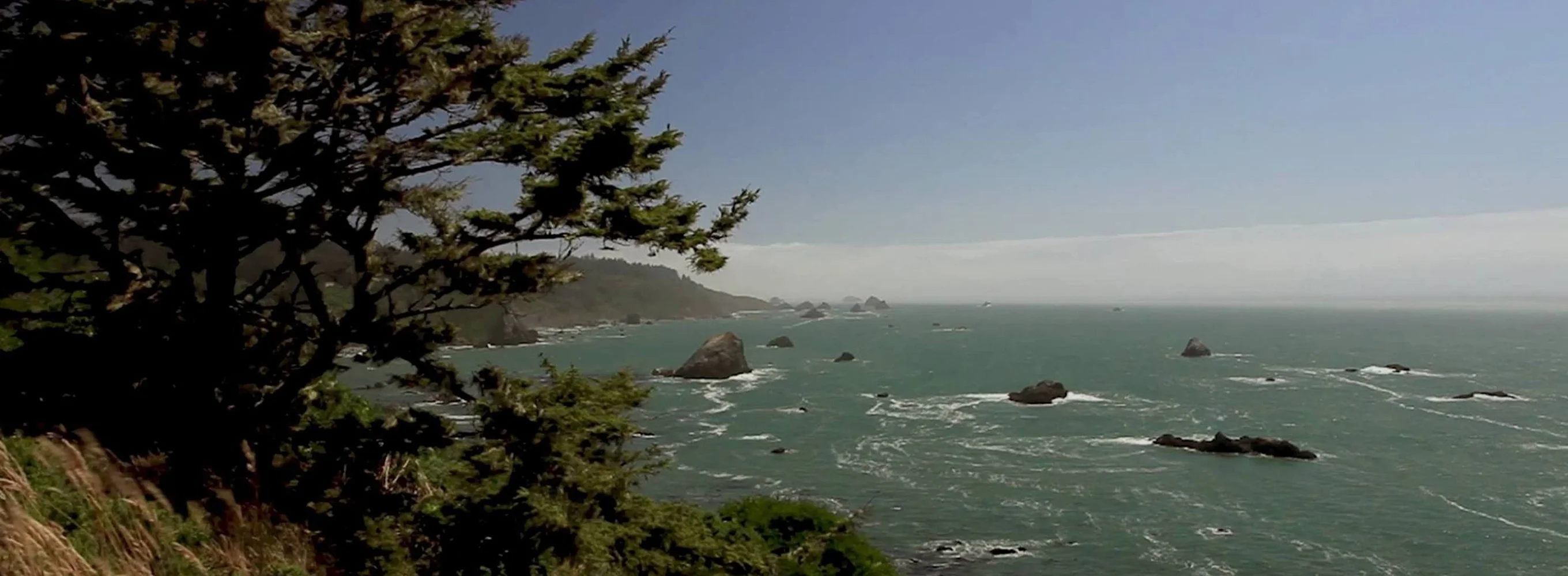 Côte de Redwood : Californie