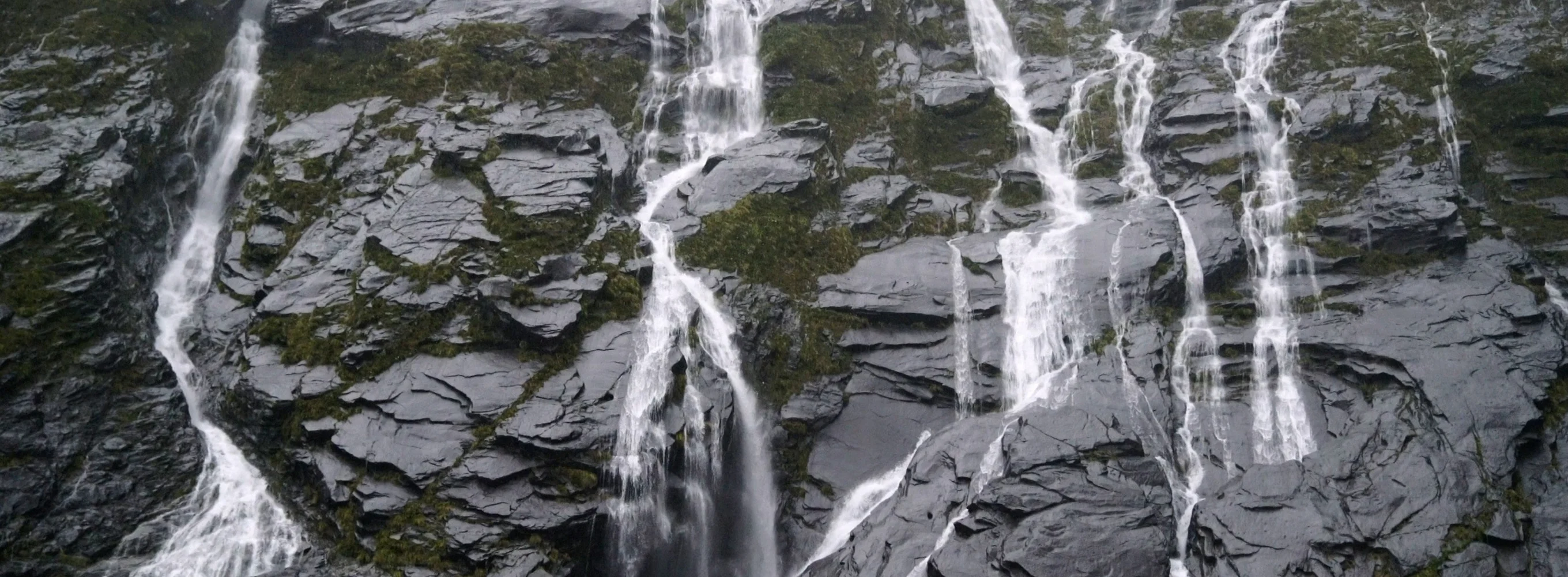 Restful Rain in New Zealand