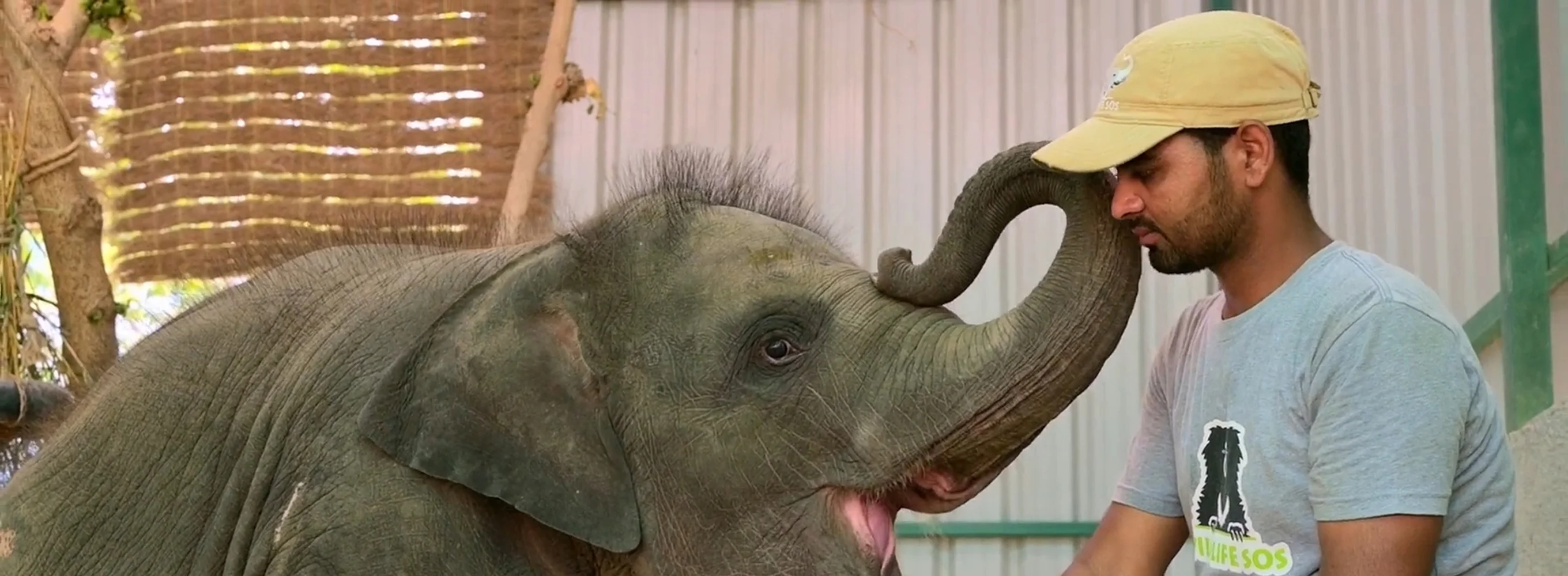 Saving Baby Bani