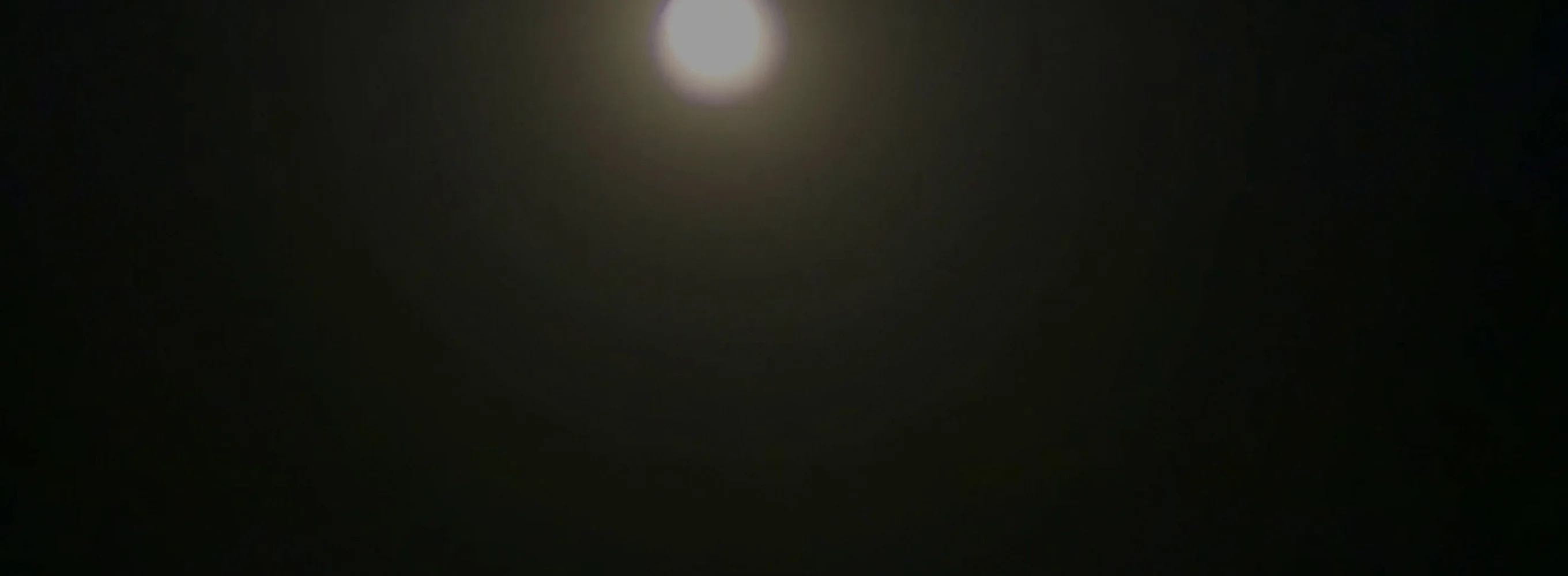 Sleepy Book: Twilight Moon
