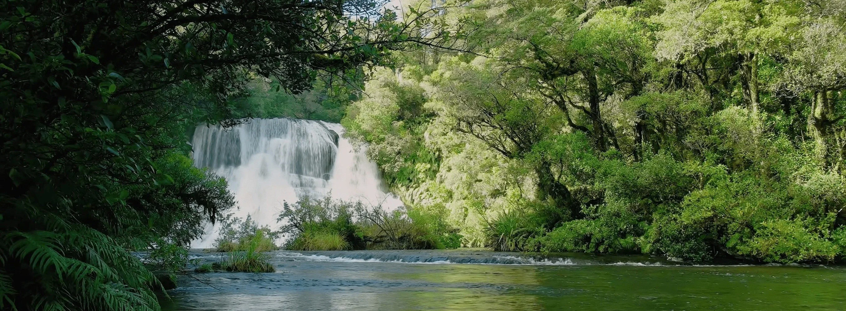 Te Urewera National Park: New Zealand (Music)