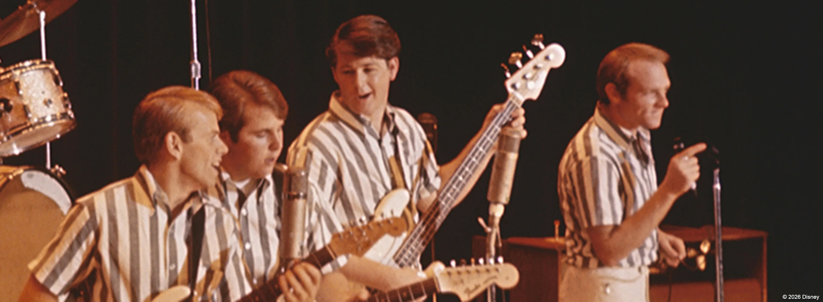 The Beach Boys