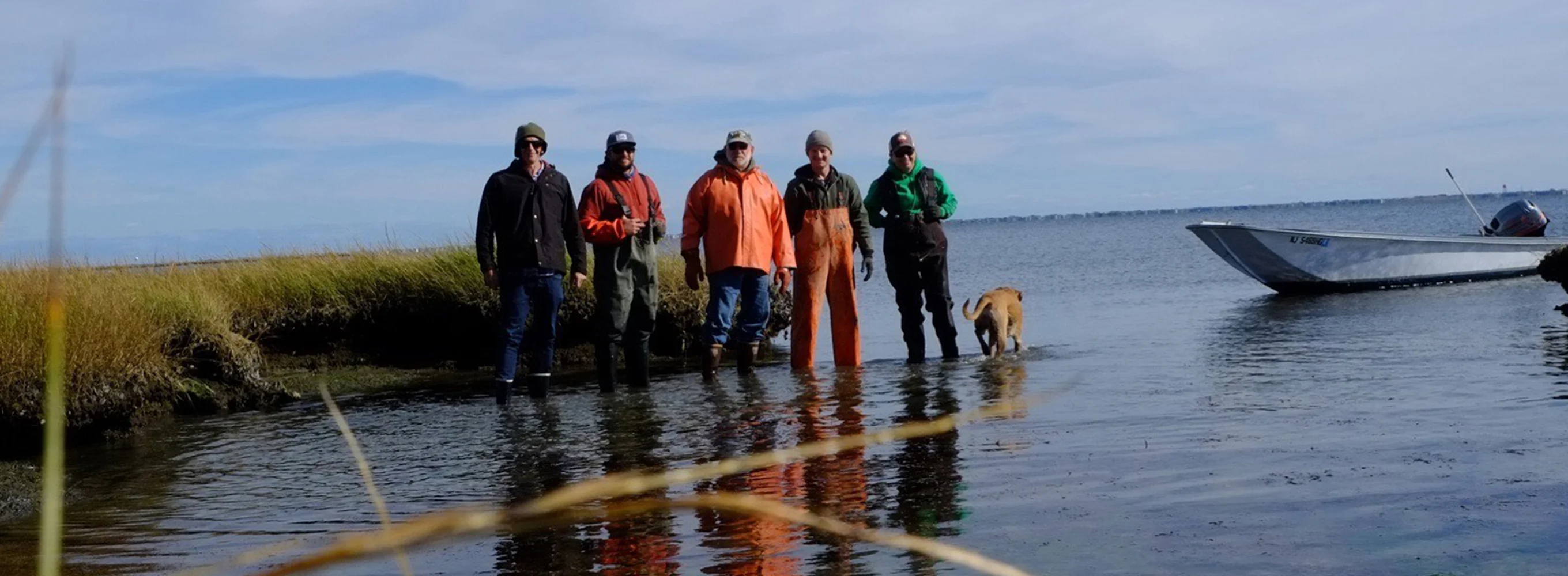 The Oyster Farmers