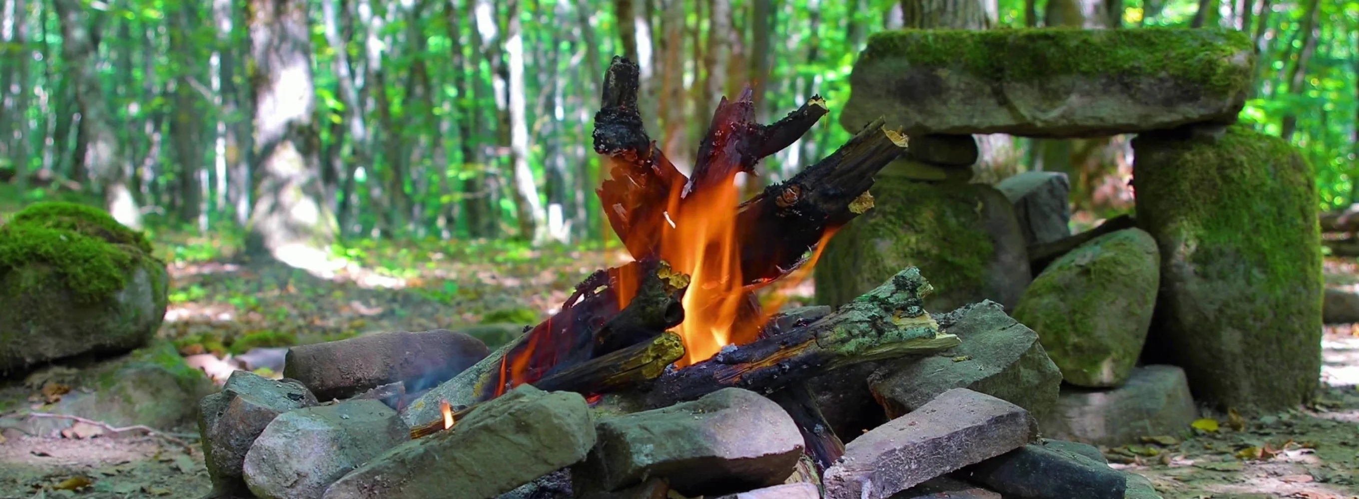 Guitare zen : autour du feu