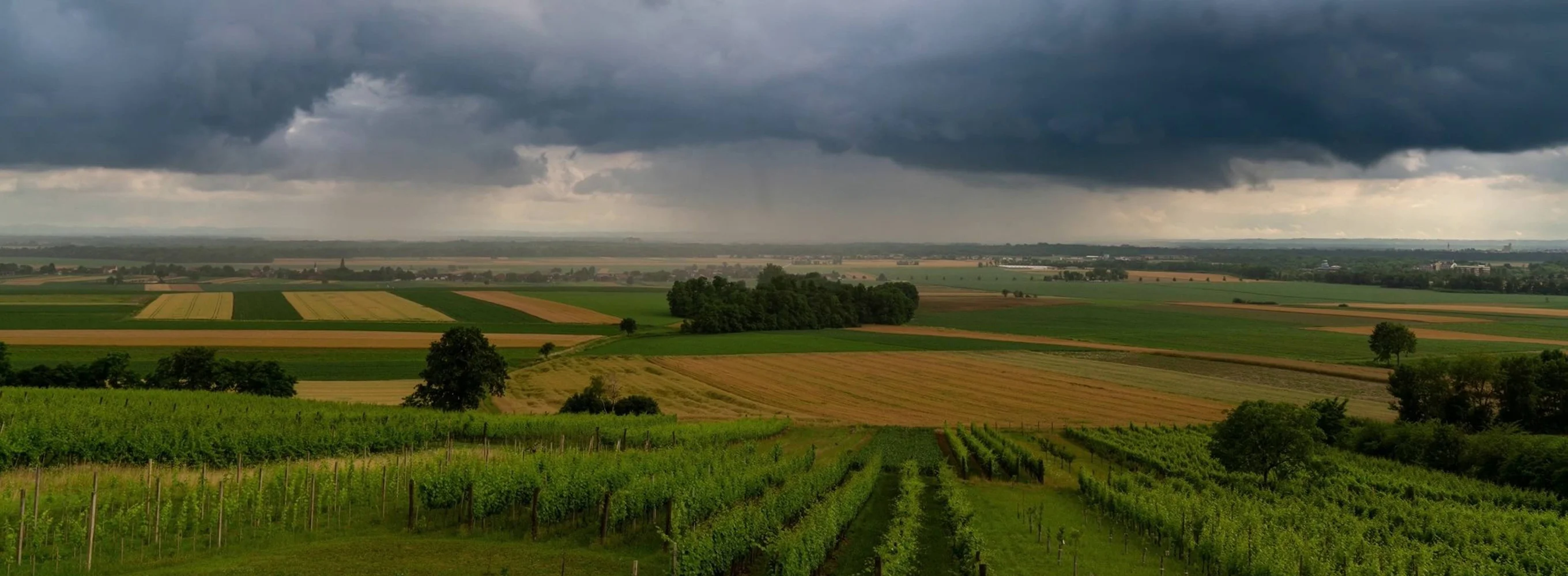 Zen Nature: Soothing Thunder & Rain