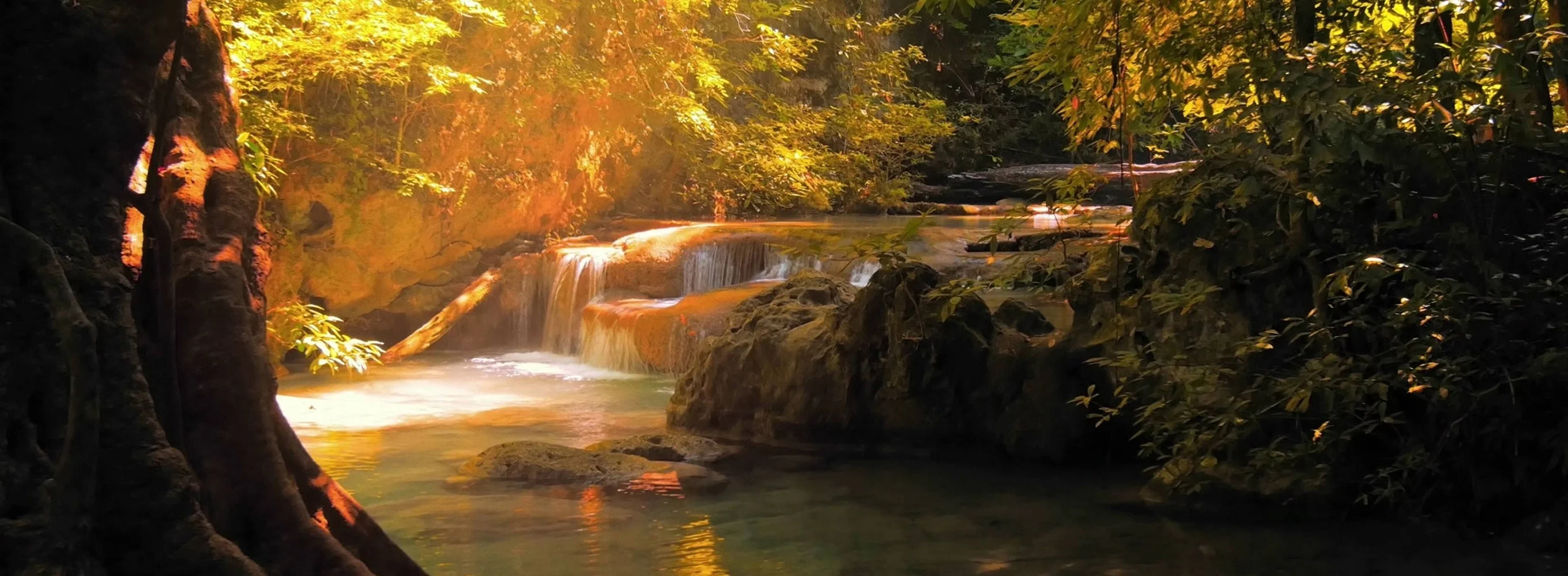 Piano zen : nature harmonieuse