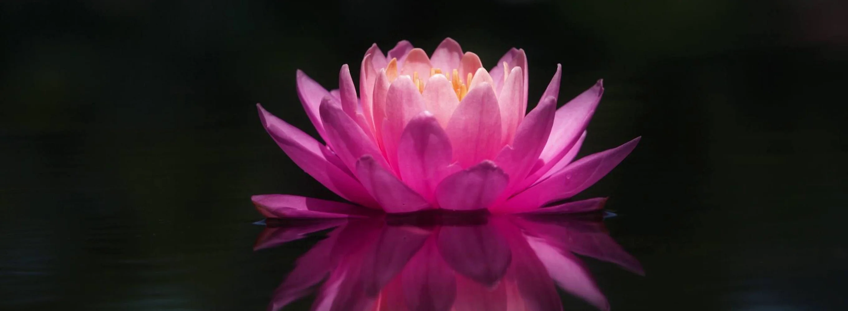 Spa zen : escapade