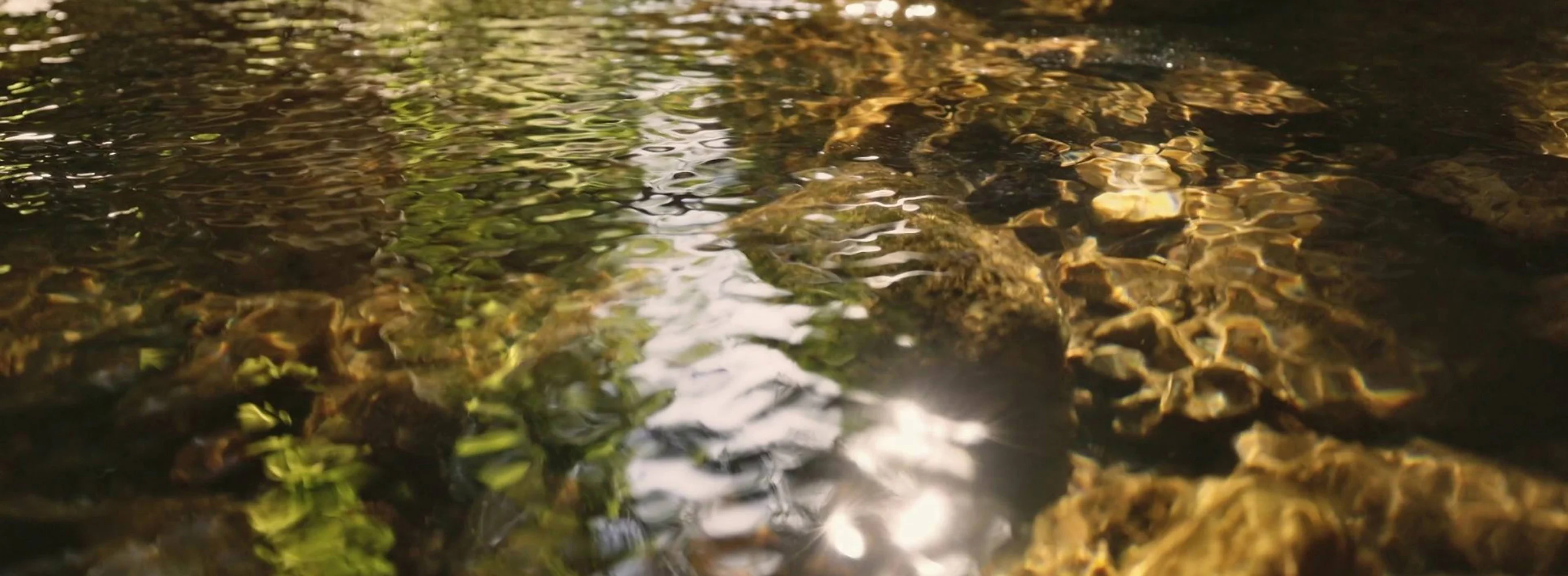 Zen Water Therapy: Relax & Flow