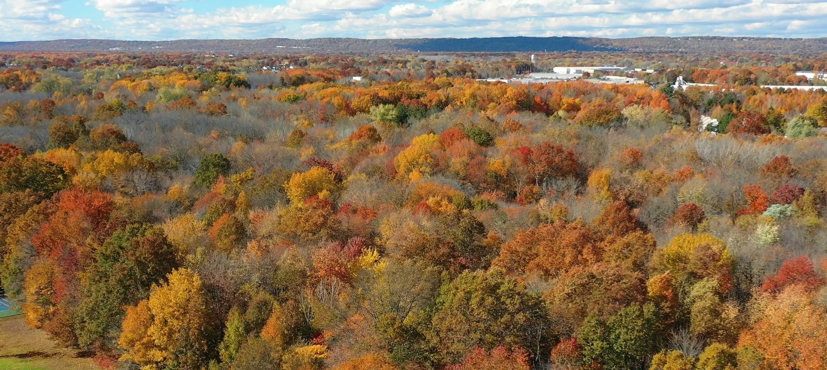 Autumn from Above