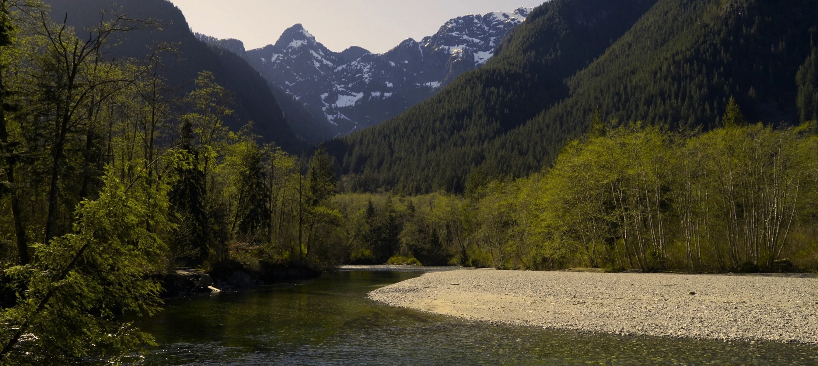 Ruisseau paisible