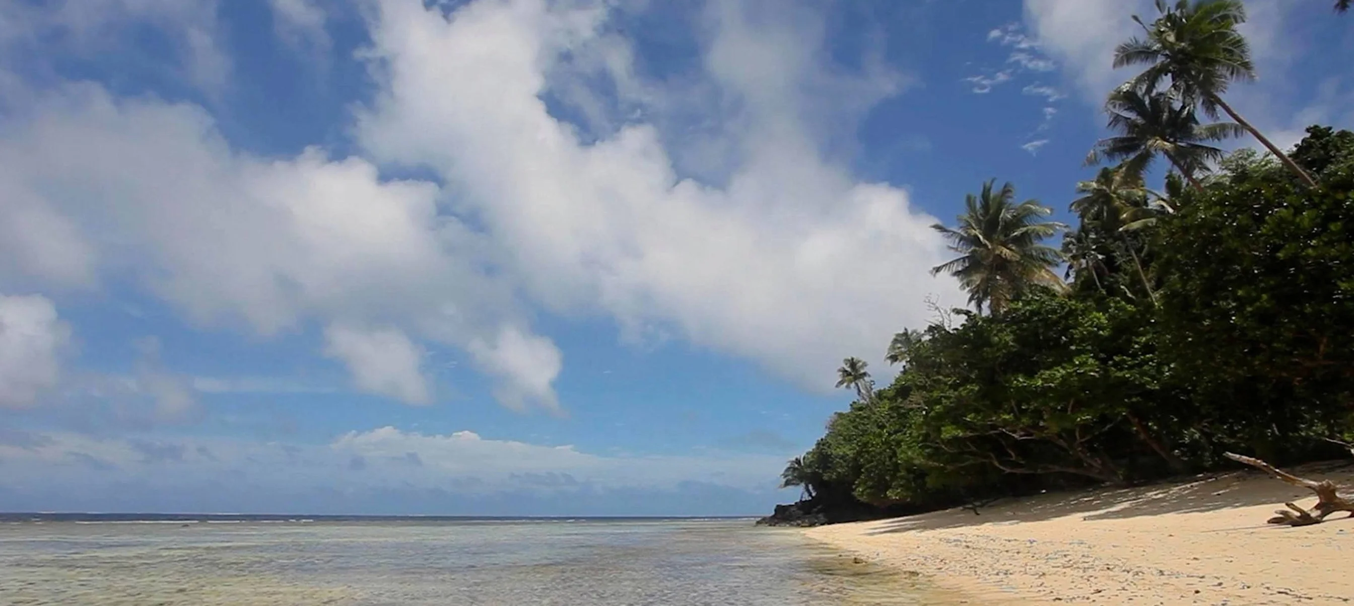 Hidden Tropical Paradise 1