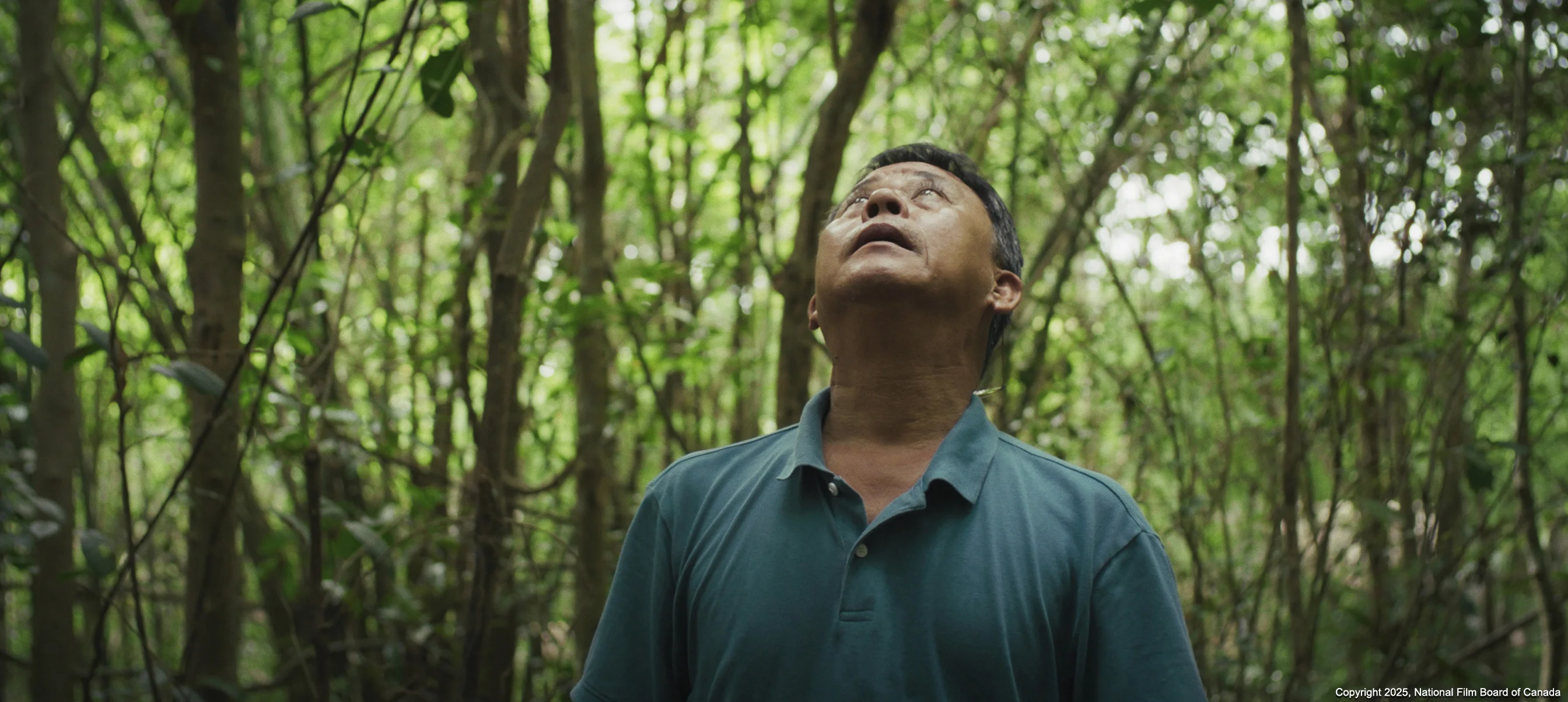 Saigon Story : Two Shootings in the Forest Kingdom