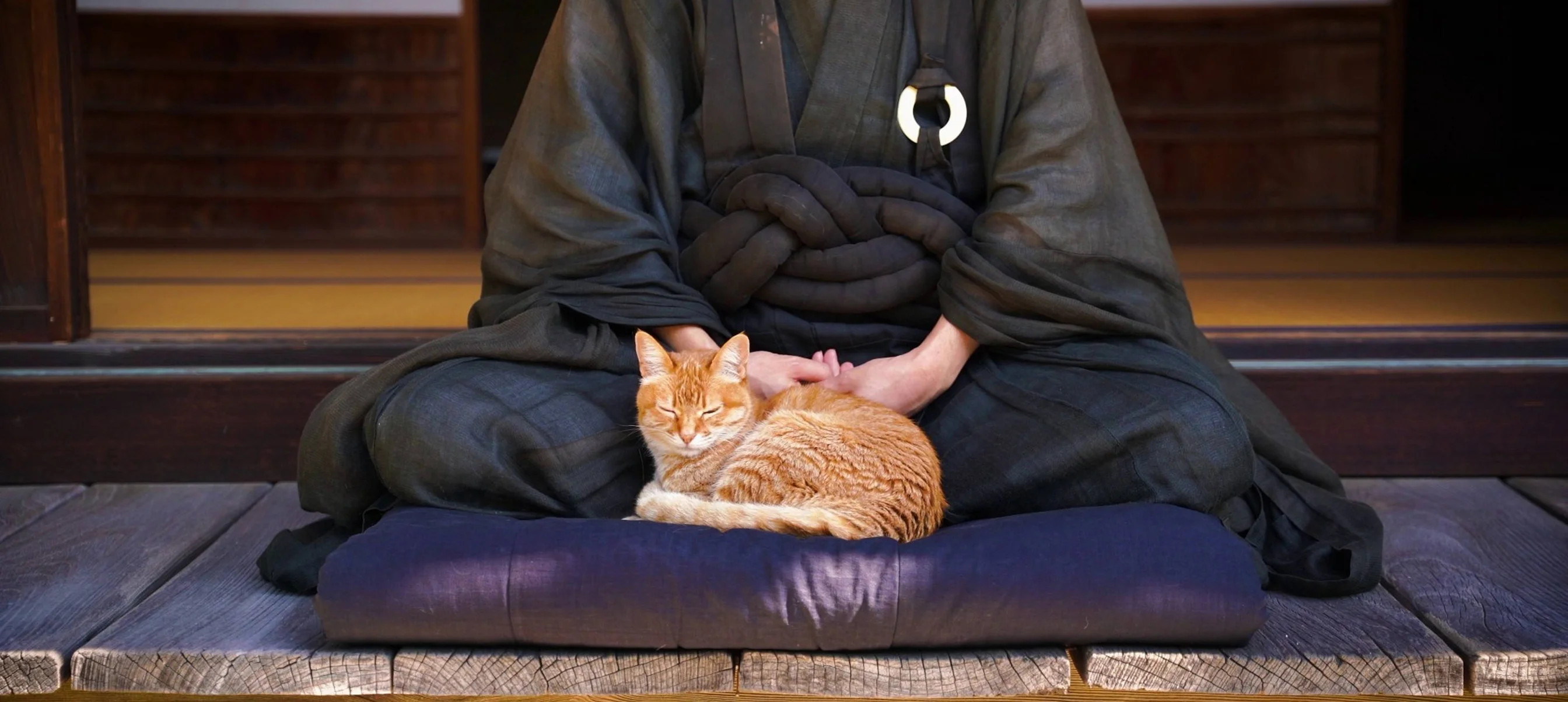 Esprit zen : Japon paisible