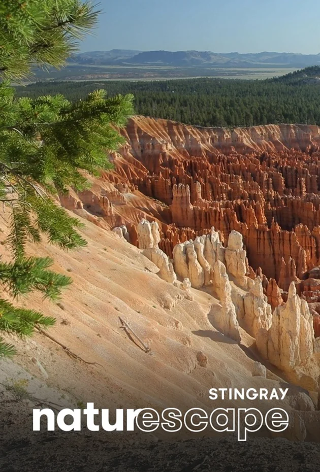 Bryce Canyon Relaxation