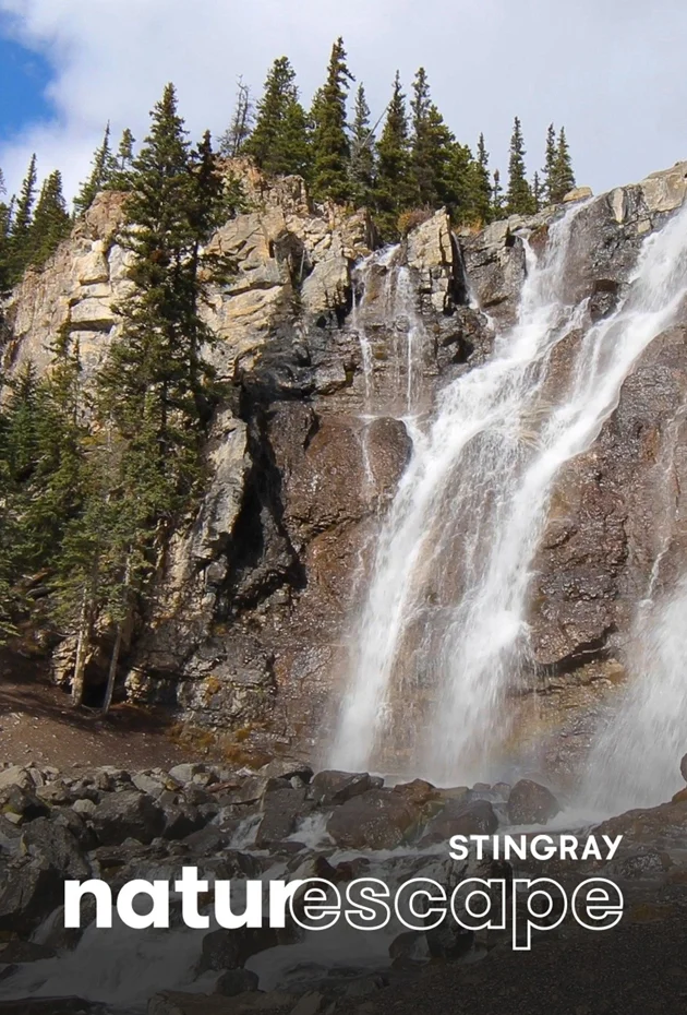 Chute apaisante en montagne