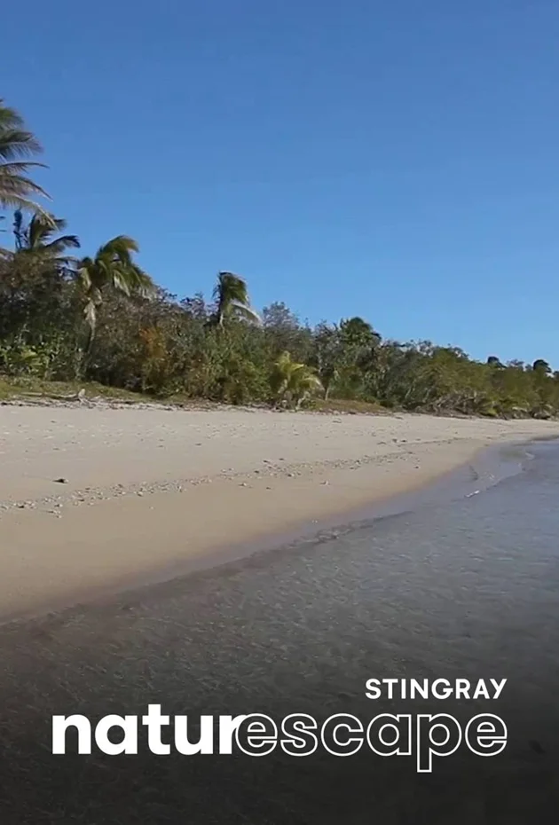 Îles paradisiaques