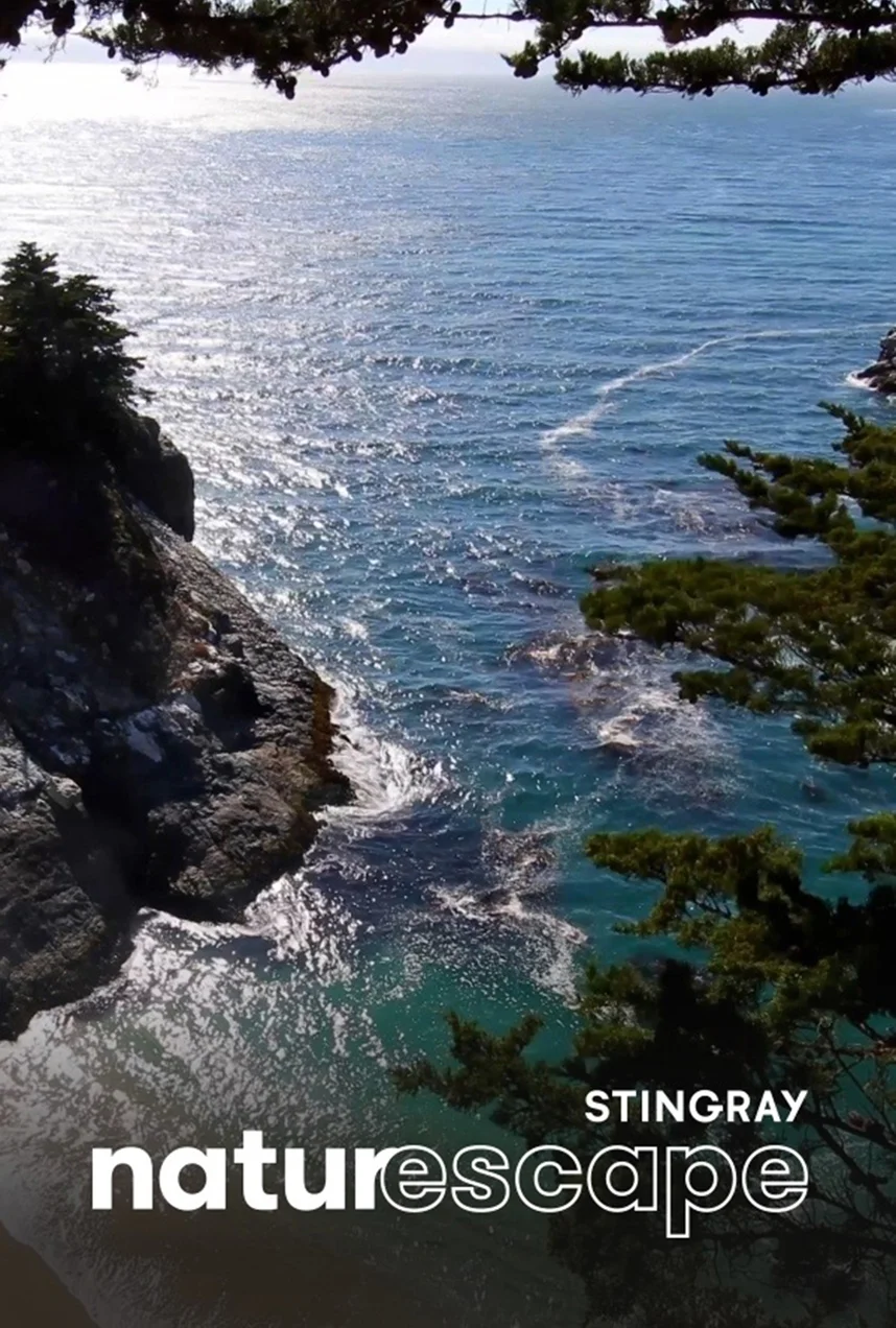 Magnifique crique de Mcway